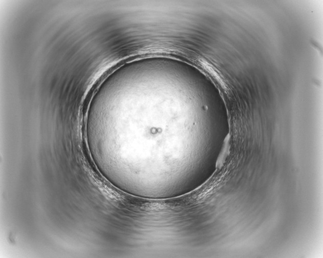 X0000093411124200711020949