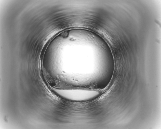 X0000093411125200711020949