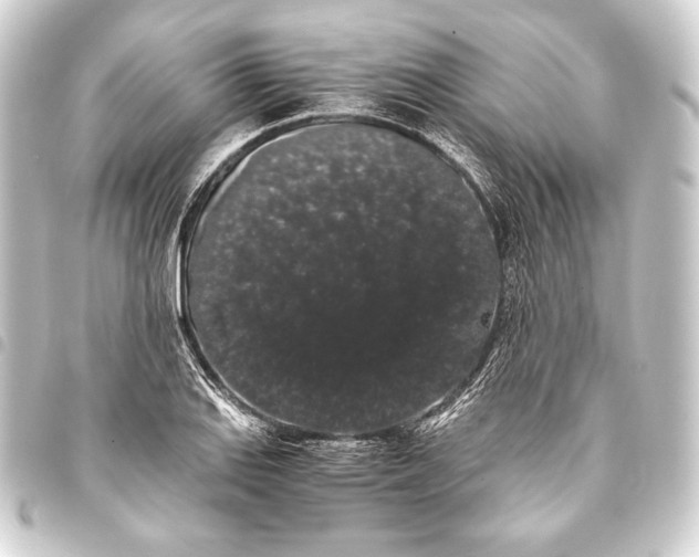 X0000093411127200711020949