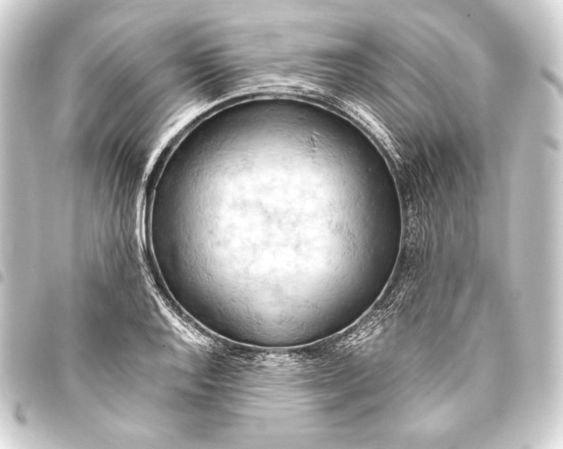 X0000093411128200711020949