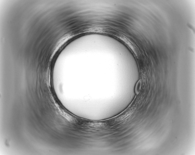 X0000093411131200711020949