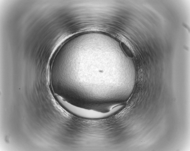 X0000093411132200711020949