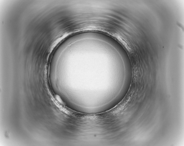 X0000093411134200711020949