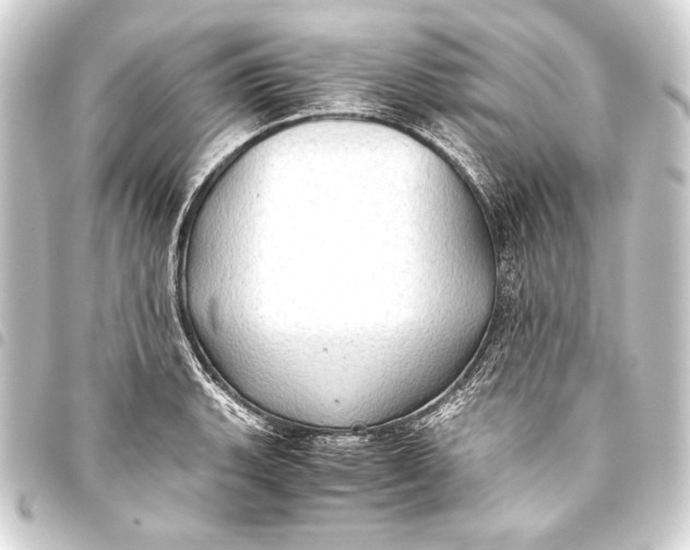 X0000093411135200711020949