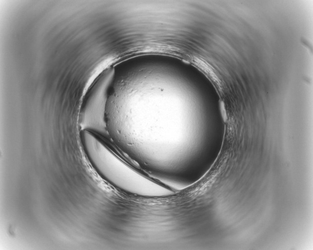 X0000093411138200711020949