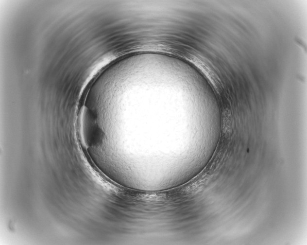 X0000093411139200711020949