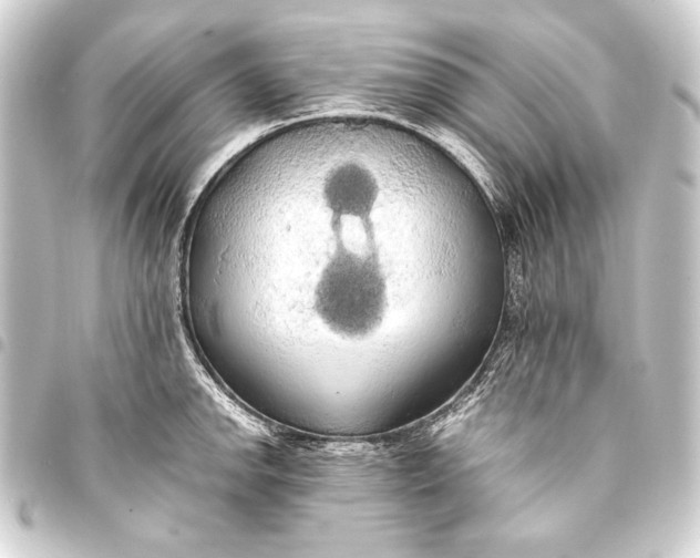 X0000093411142200711020949