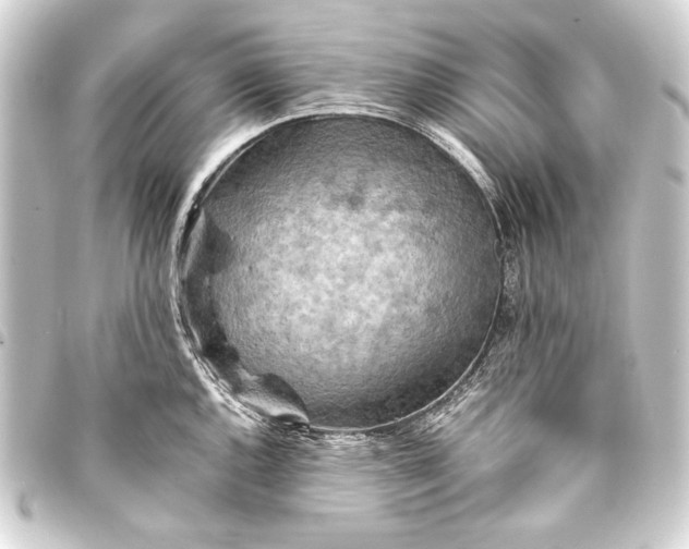 X0000093411144200711020949