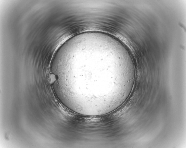 X0000093411145200711020949