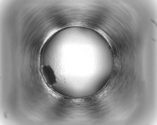 X0000093411147200711020949