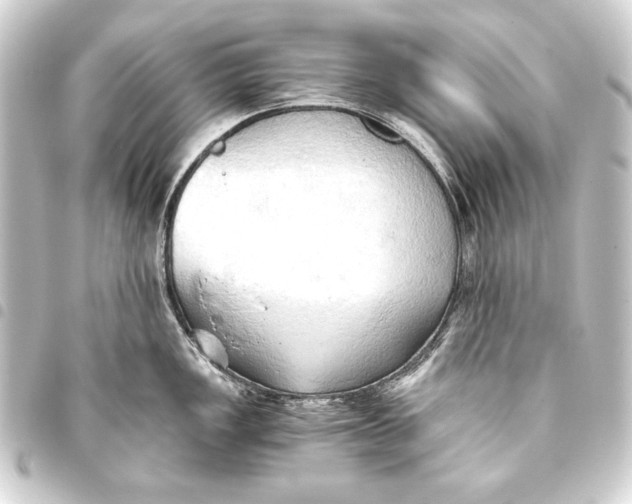 X0000093411149200711020949