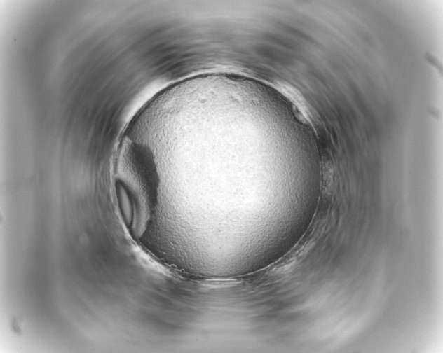 X0000093411151200711020949