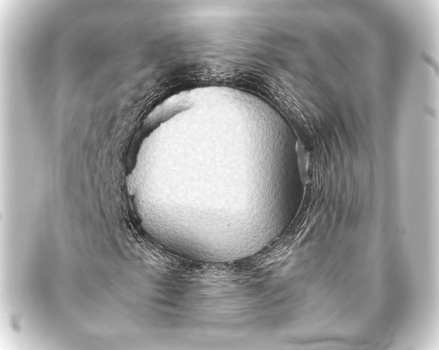 X0000093411153200711020949