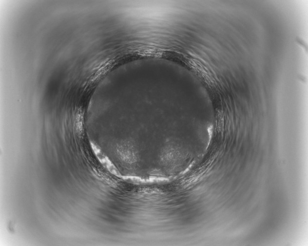 X0000093411154200711020949