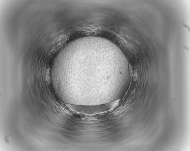 X0000093411156200711020949