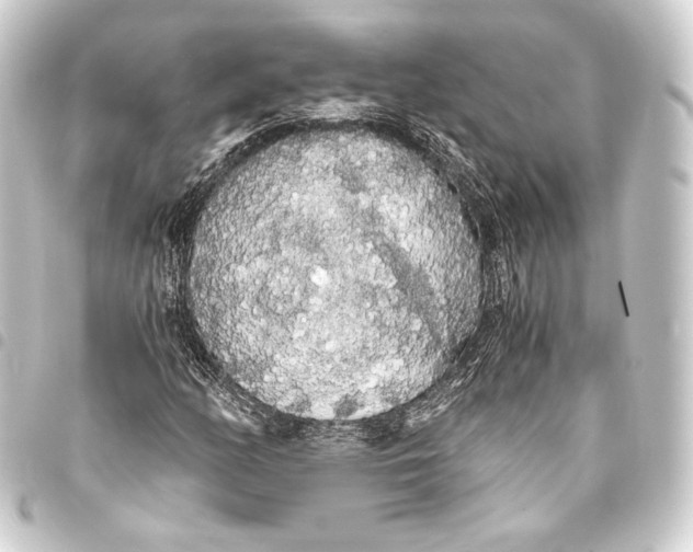 X0000093411158200711020949