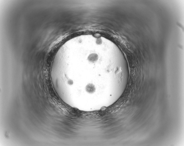 X0000093411159200711020949