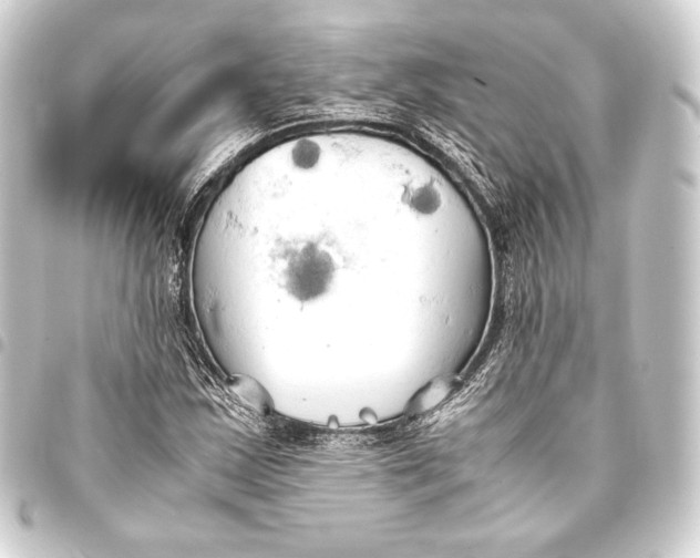 X0000093411163200711020949