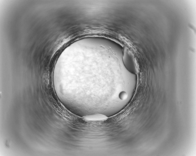 X0000093411165200711020949