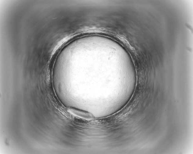 X0000093411167200711020949