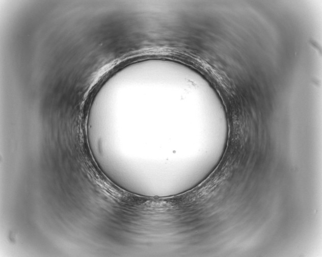 X0000093411168200711020949