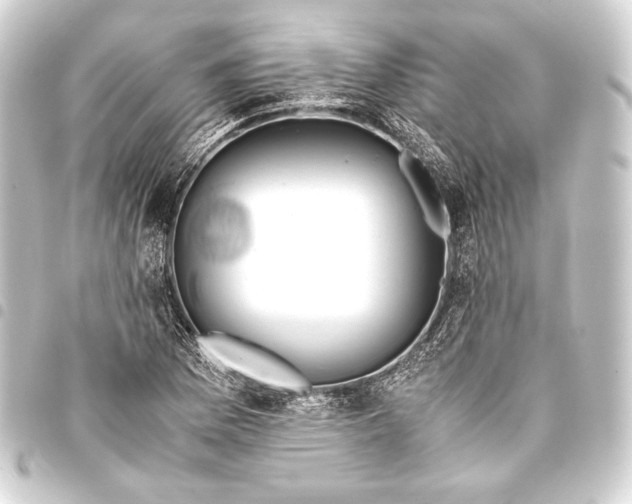 X0000093411169200711020949