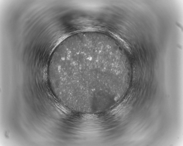 X0000093411170200711020949