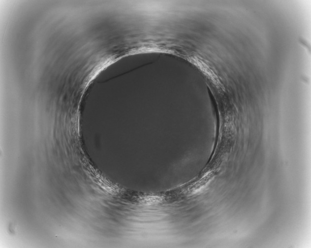 X0000093411173200711020949