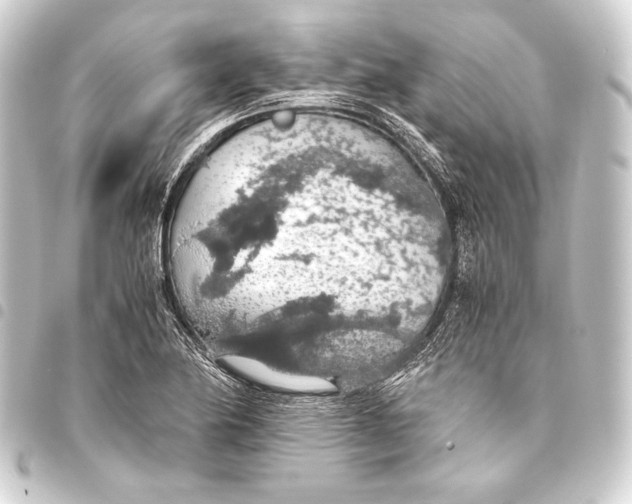 X0000093411174200711020949