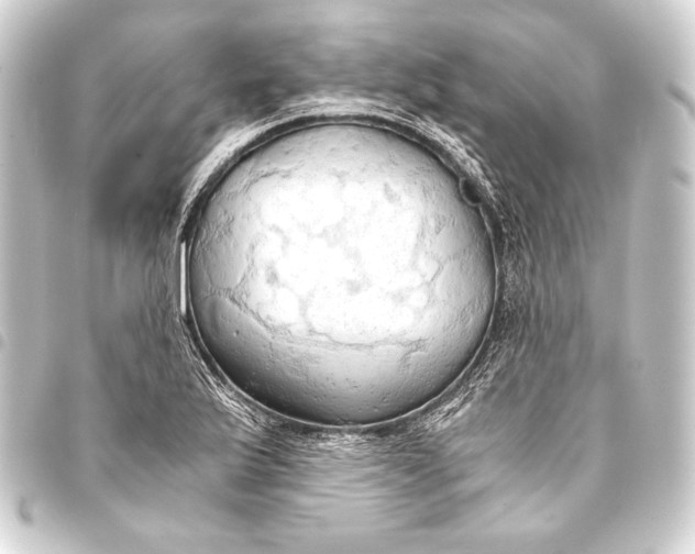 X0000093411175200711020949