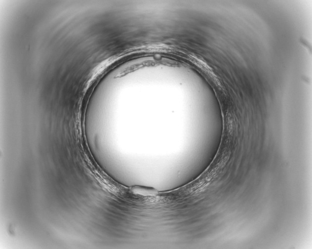 X0000093411176200711020949