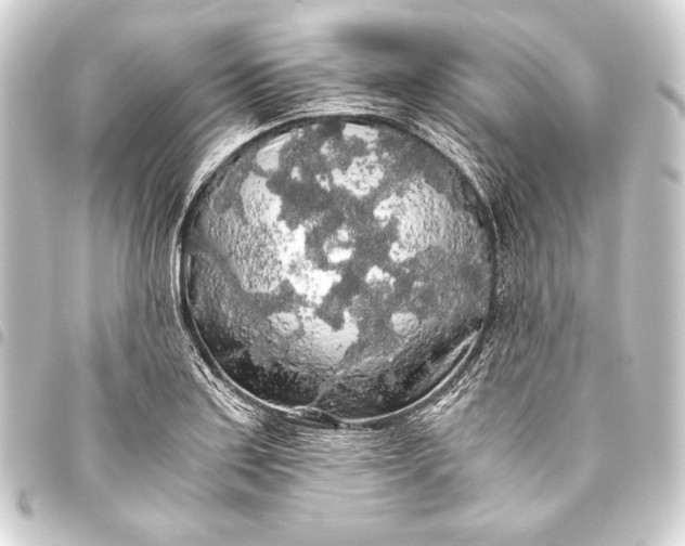 X0000093411179200711020949