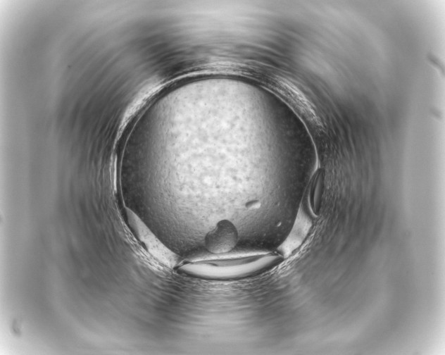 X0000093411180200711020949