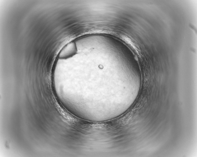 X0000093411181200711020949