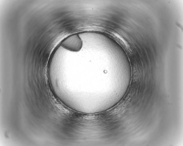 X0000093411182200711020949