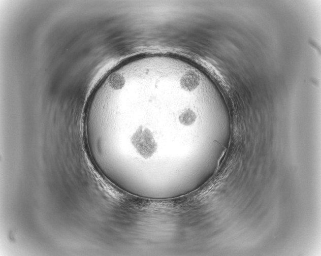 X0000093411183200711020949