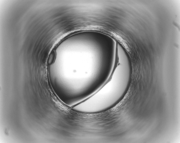 X0000093411184200711020949