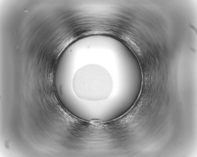 X0000093411185200711020949