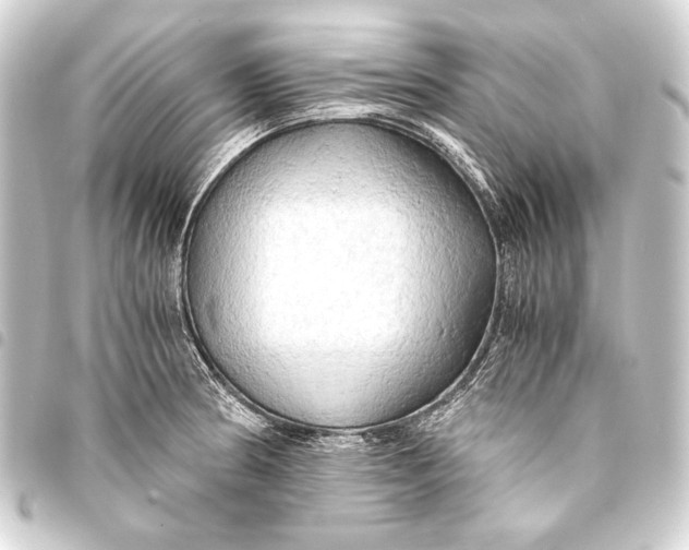 X0000093411186200711020949