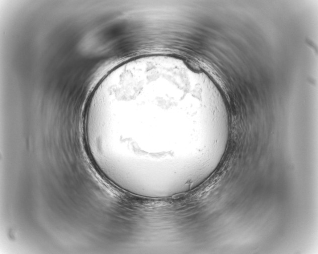 X0000093411187200711020948