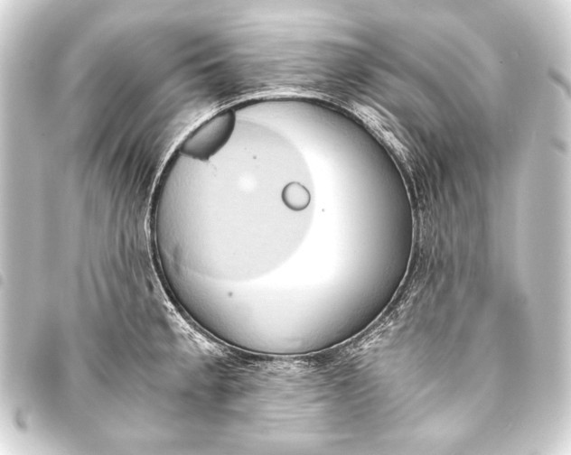 X0000093411189200711020948