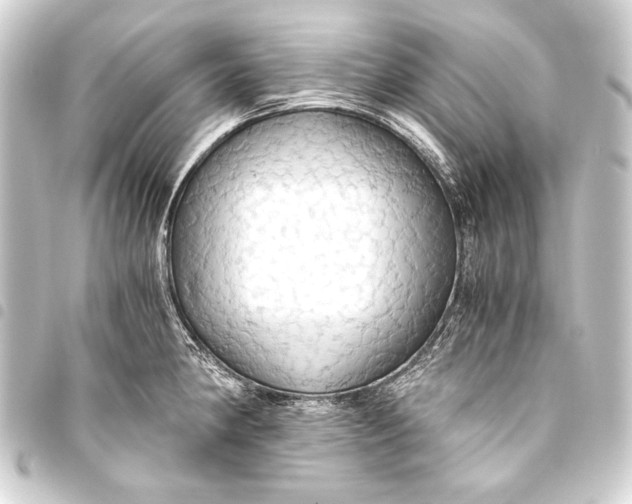 X0000093411190200711020948