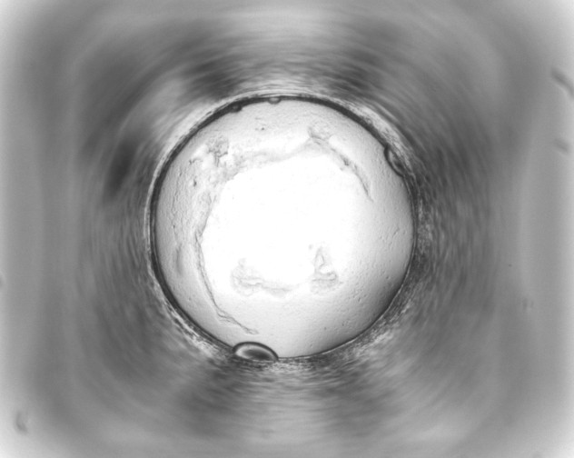 X0000093411191200711020948