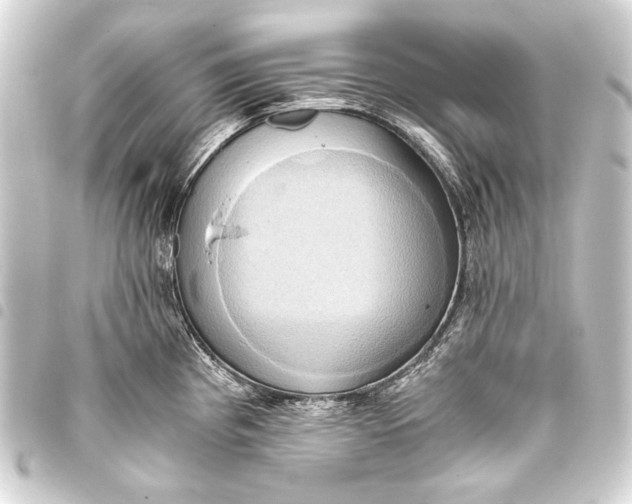 X0000093411193200711020948