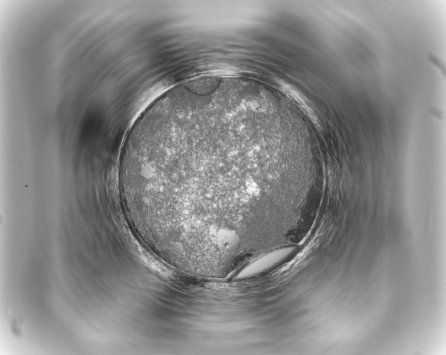 X0000093411194200711020948