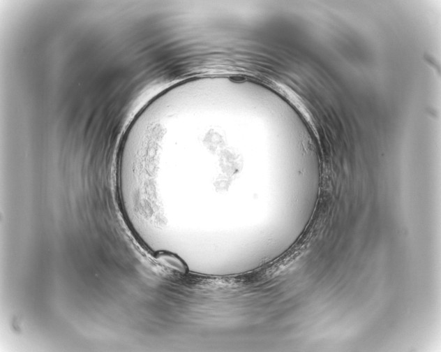 X0000093411195200711020948