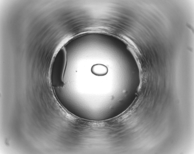 X0000093411196200711020948