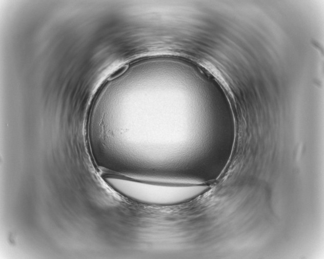 X0000093411197200711020948