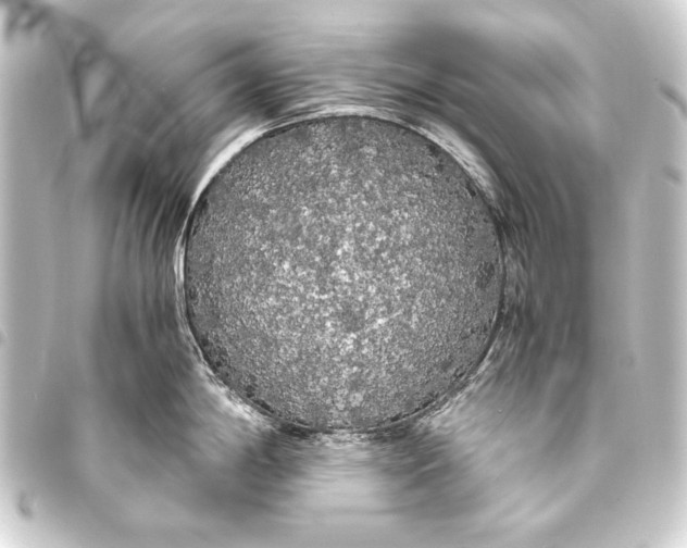 X0000093411198200711020948