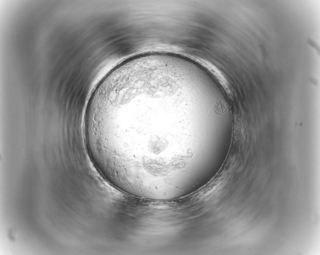 X0000093411199200711020948